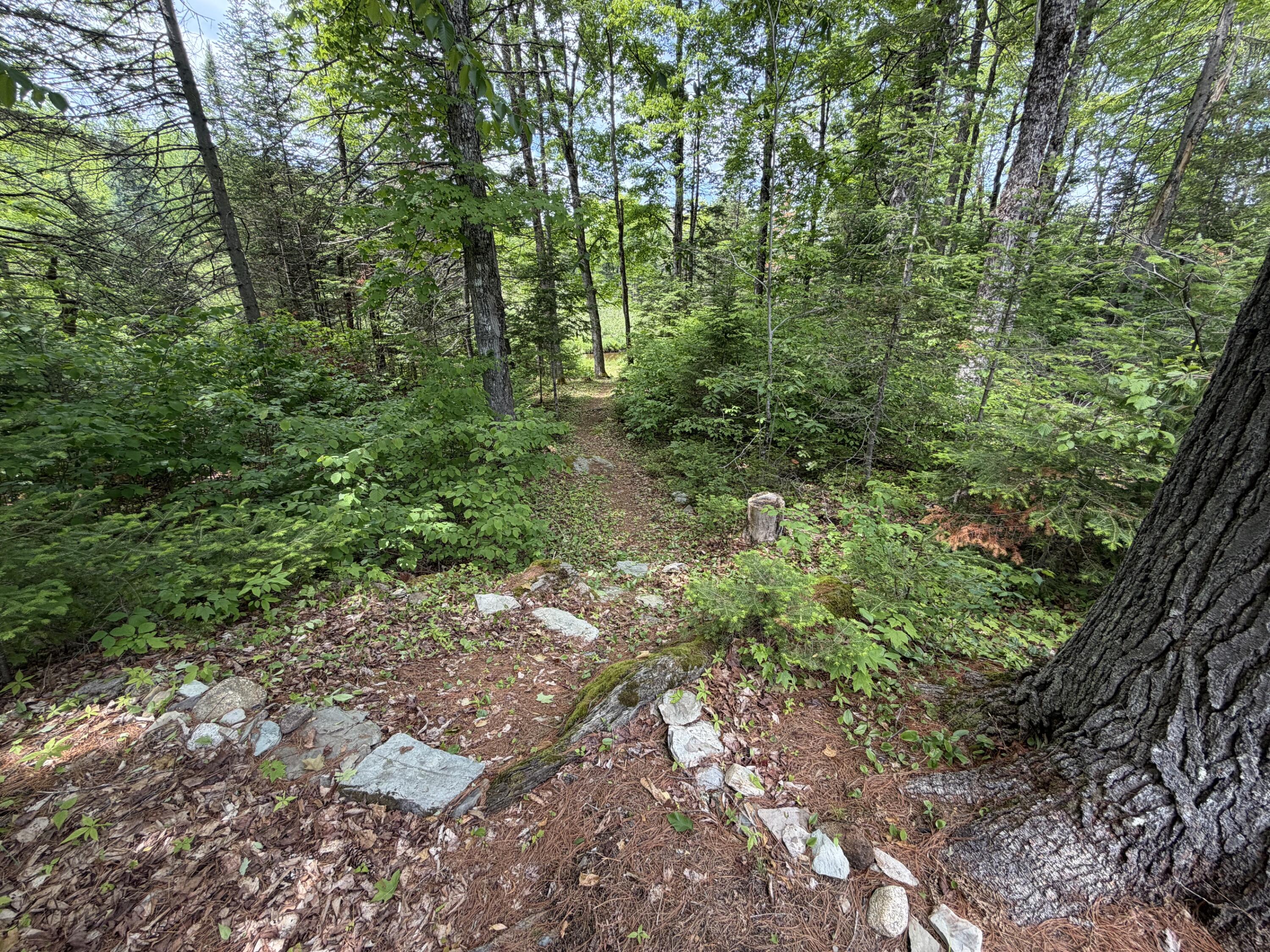194 Meadow Road Hudson, ME 04449 - Photo 14 of 21 14
