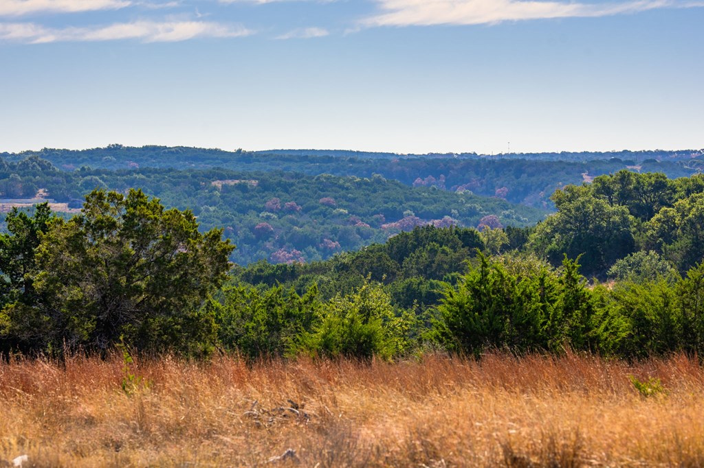Lot 130 Dillon Rdg Drive Kerrville, TX 78028 - Photo 2 of 11 an aerial view of a forest