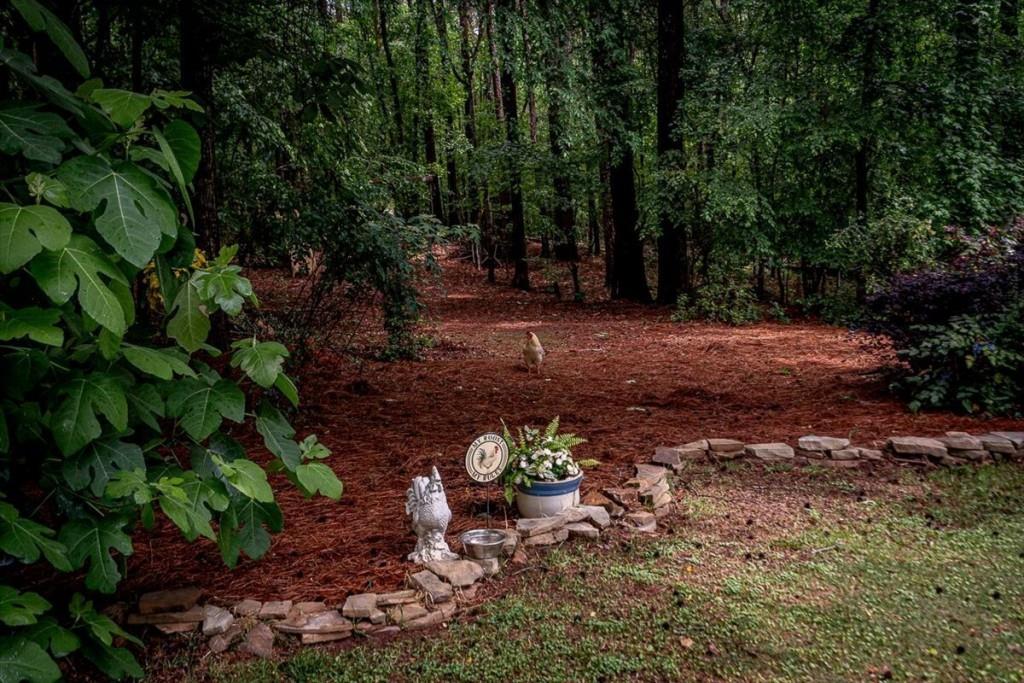 1715 Ammons Bridge Road Monroe, GA 30655 - Photo 73 of 84