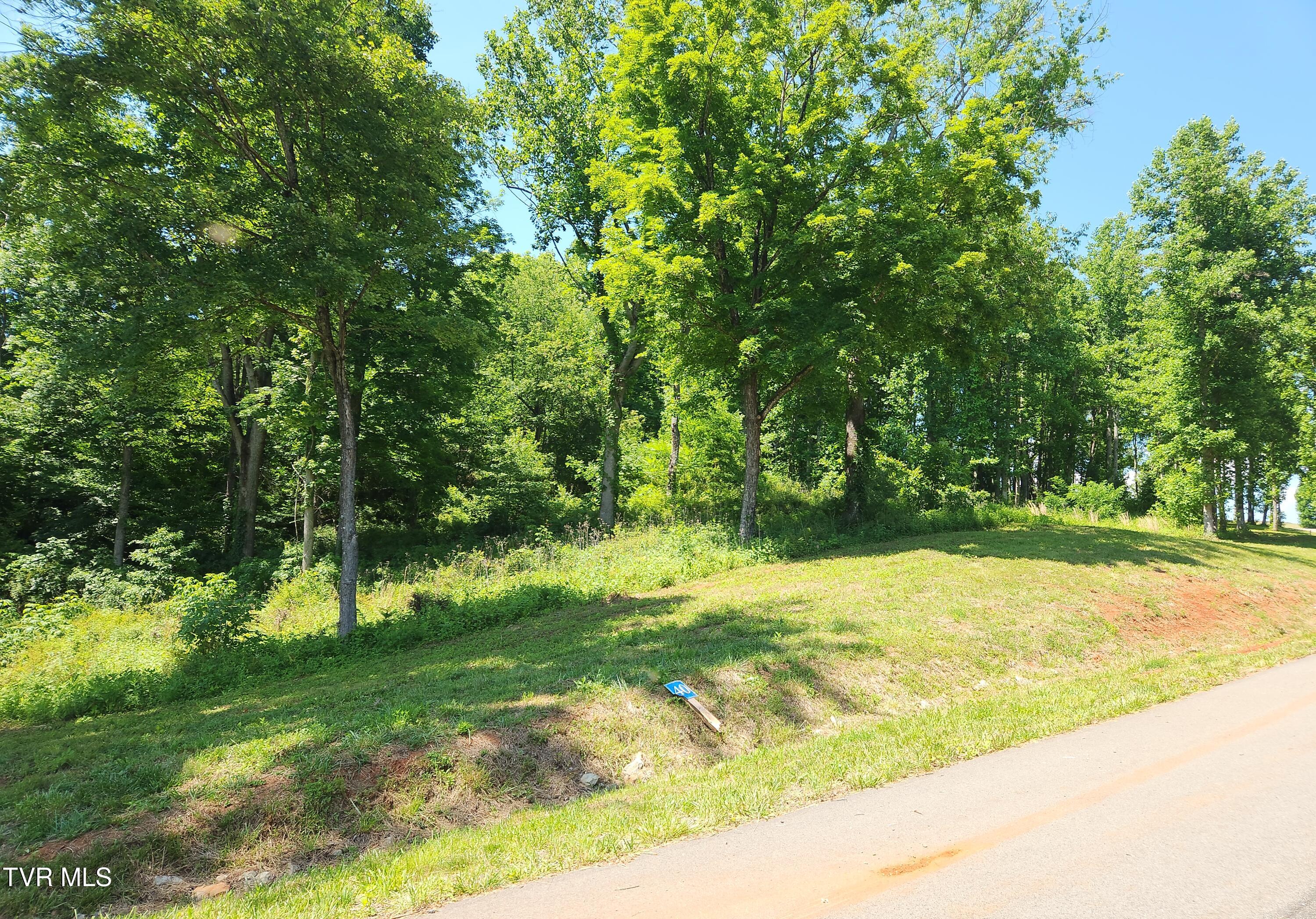Lot 40 Cowan Town Road, Unit 40 Butler, TN 37640 - Photo 84 of 117 Lot 40 Road front