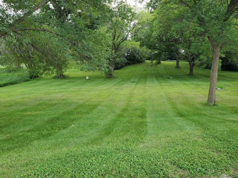 Lot 2 Devils Lake Road Northwest Brandon, MN 56315 - Photo 4 of 16