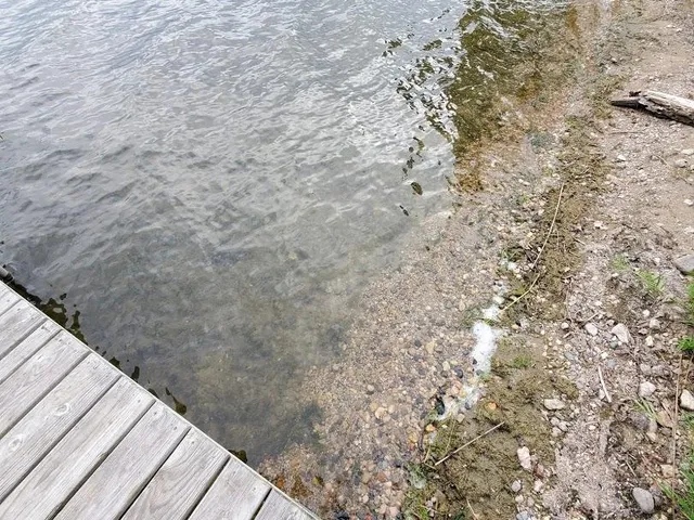 $59,900 | Lot 2 Devils Lake Road Northwest, Brandon, MN 56315