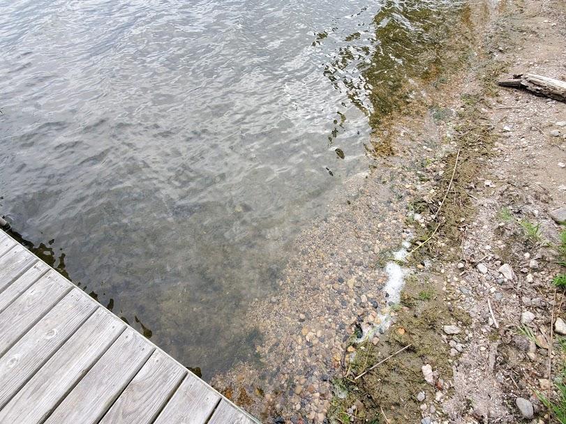 Lot 2 Devils Lake Road Northwest Brandon, MN 56315 - Photo 7 of 16