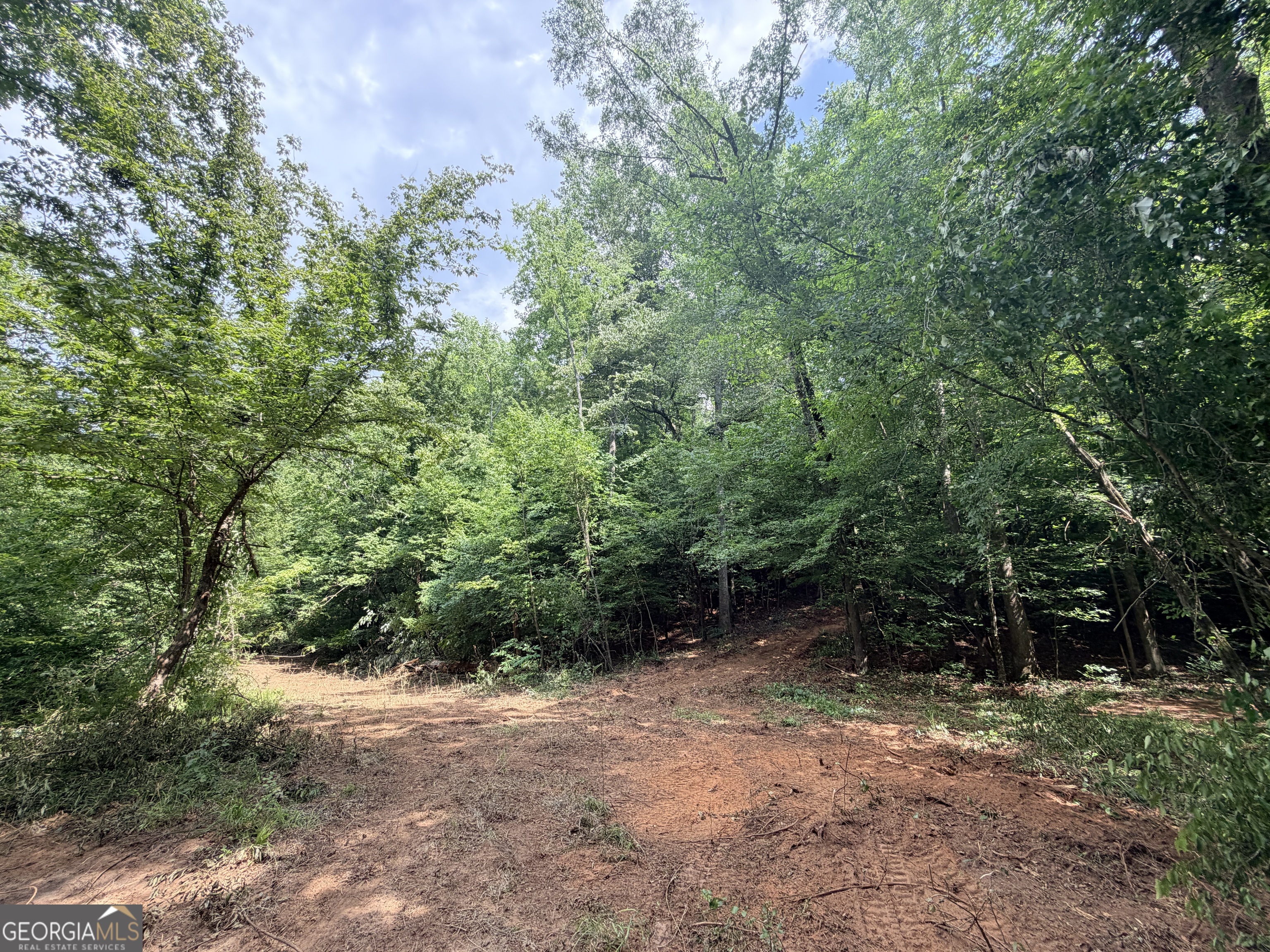 1590 James Adams Road Danielsville, GA 30633 - Photo 53 of 98