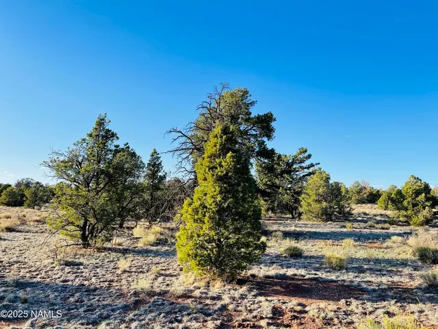 a view of lake with a tree