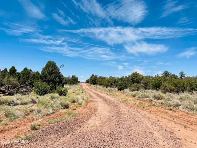 a view of a dry yard