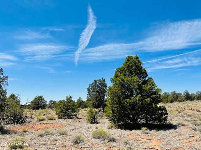 a view of a yard covered with snow in the background