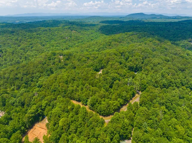 a view of a yard with plants and trees