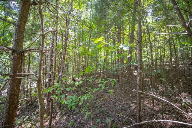 $79,000 | 4.7-ac Mountain Creek Hollow Drive, Talking Rock, GA 30175