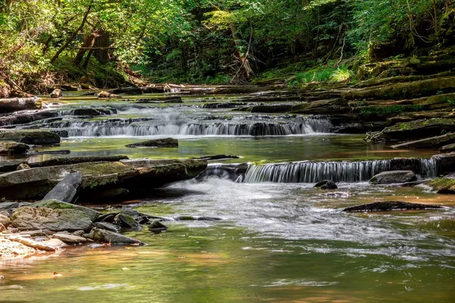 $79,000 | 4.7-ac Mountain Creek Hollow Drive, Talking Rock, GA 30175