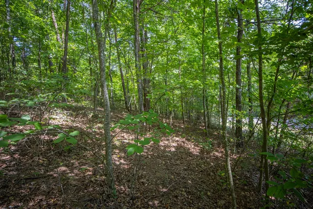 a view of a field of grass and trees