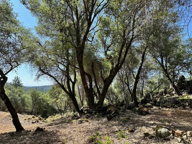 $800,000 | 390 Summit View, Meadow Vista, CA 95722