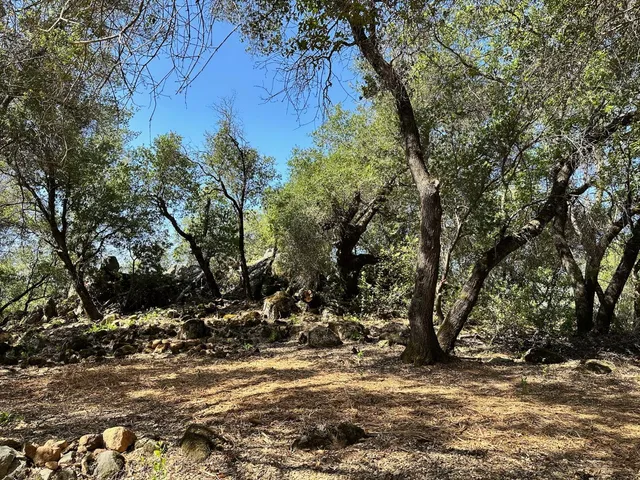 $800,000 | 390 Summit View, Meadow Vista, CA 95722