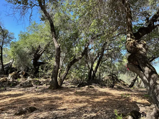 $800,000 | 390 Summit View, Meadow Vista, CA 95722