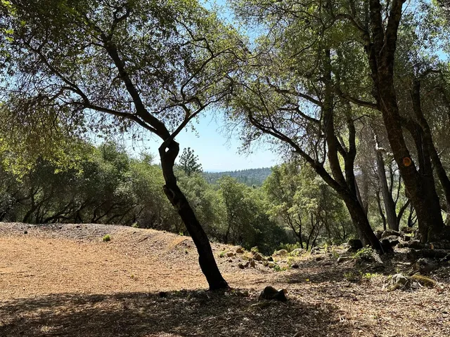 $800,000 | 390 Summit View, Meadow Vista, CA 95722