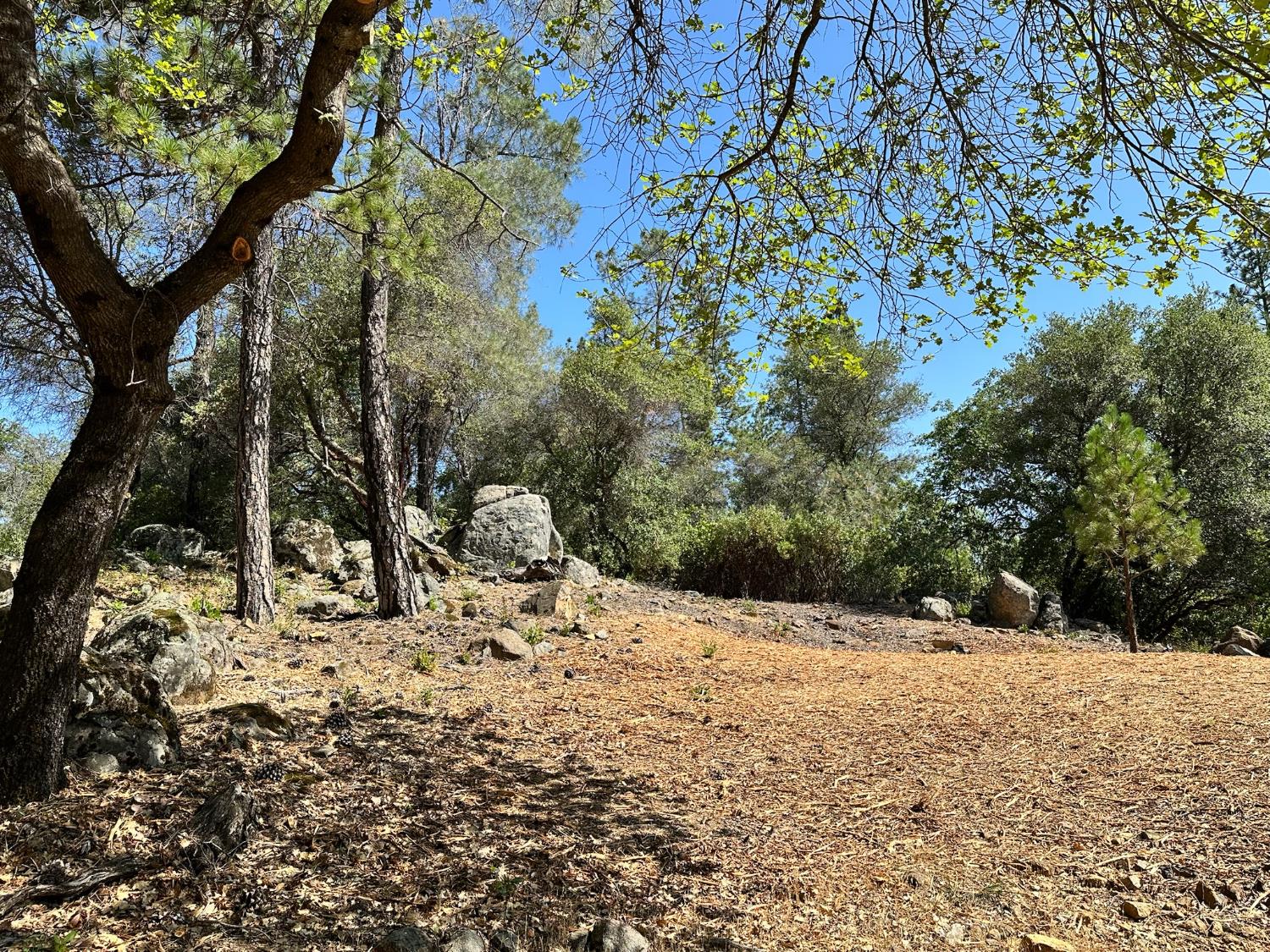 390 Summit View Meadow Vista, CA 95722 - Photo 23 of 38