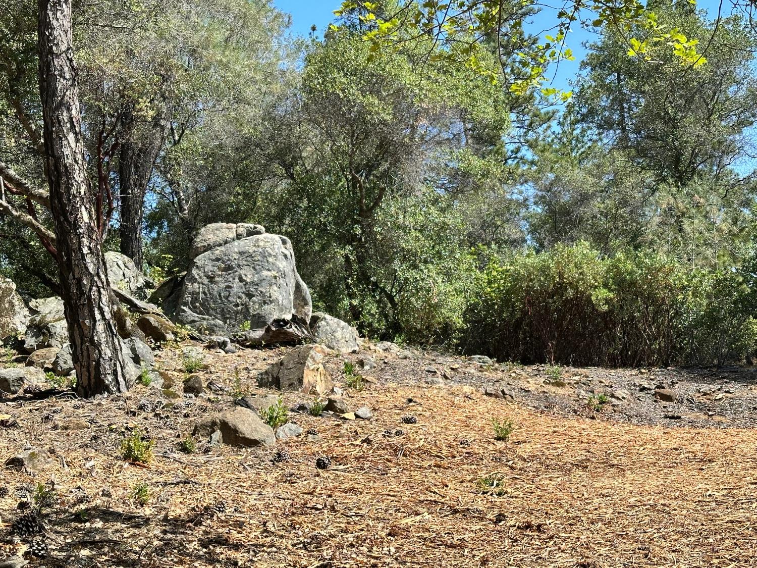 390 Summit View Meadow Vista, CA 95722 - Photo 24 of 38