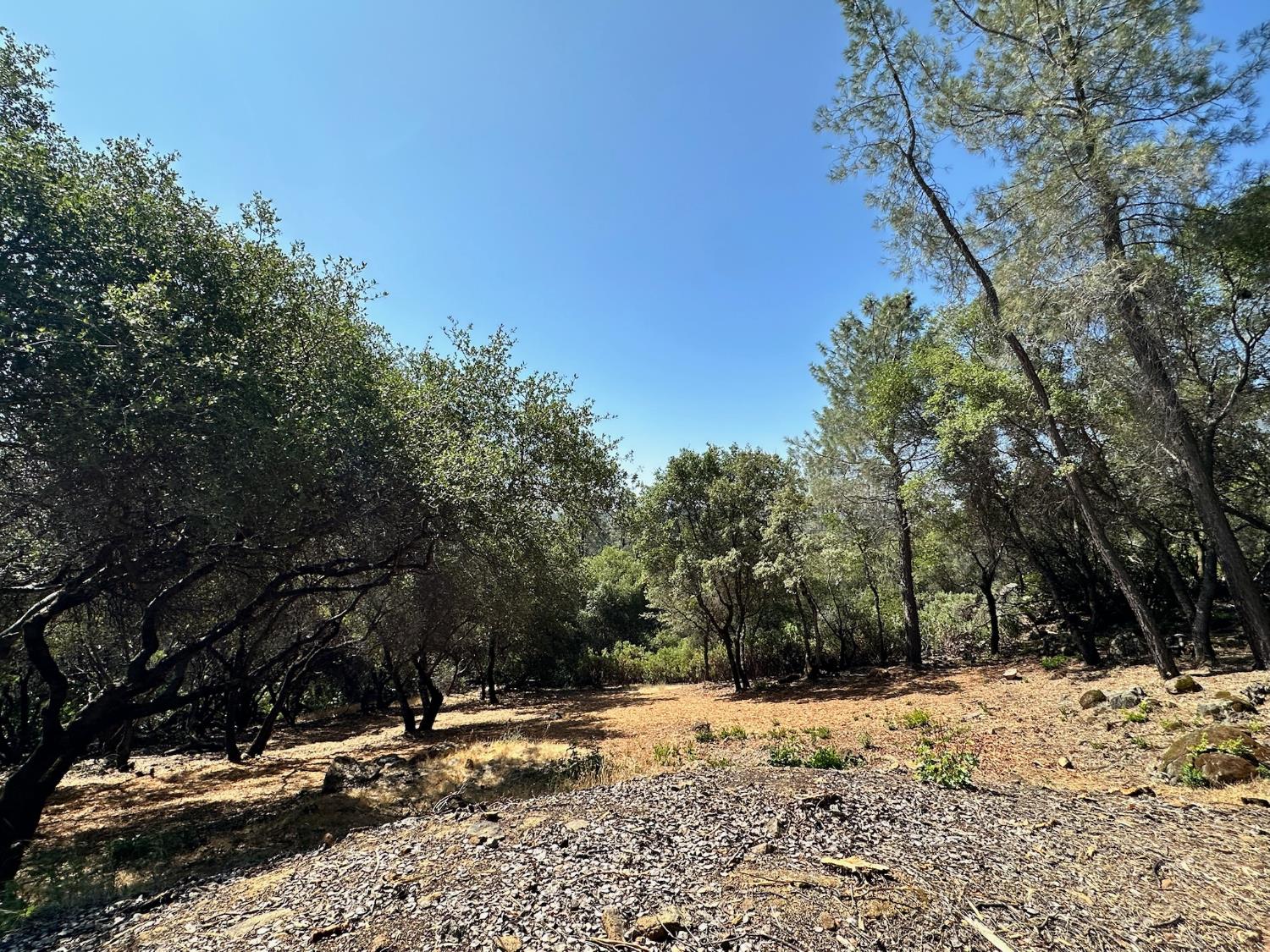 390 Summit View Meadow Vista, CA 95722 - Photo 26 of 38
