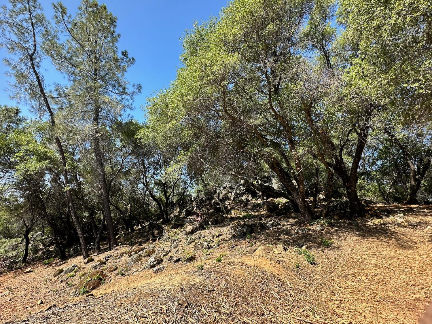 390 Summit View Meadow Vista, CA 95722 - Photo 27 of 38