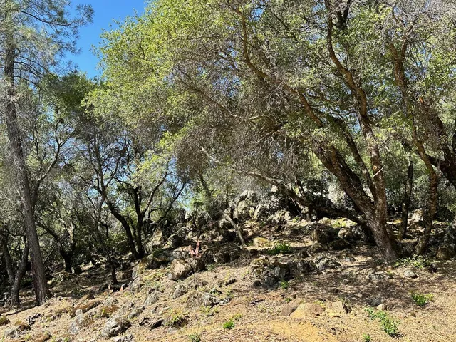 $800,000 | 390 Summit View, Meadow Vista, CA 95722