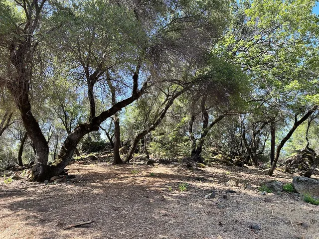 $800,000 | 390 Summit View, Meadow Vista, CA 95722