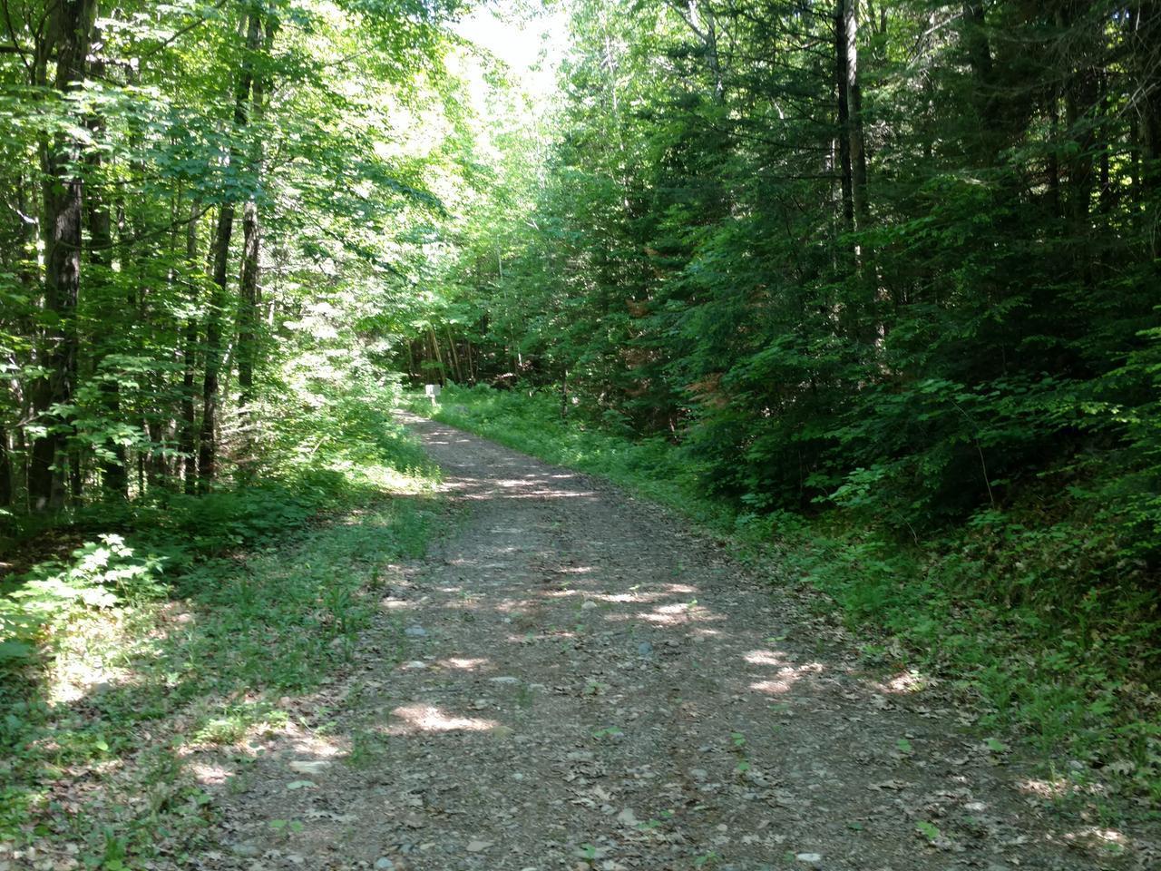 Off Off Cth Rr Ogema, WI 54459 - Photo 22 of 38 Gallery Image 22