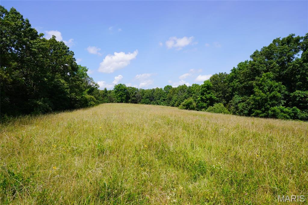53-acres Chad Lane Rhineland, MO 65069 - Photo 11 of 14