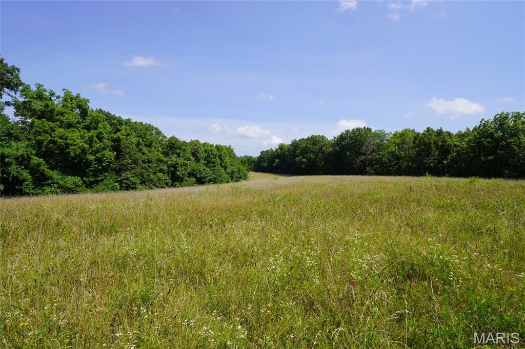 53-acres Chad Lane Rhineland, MO 65069 - Photo 12 of 14