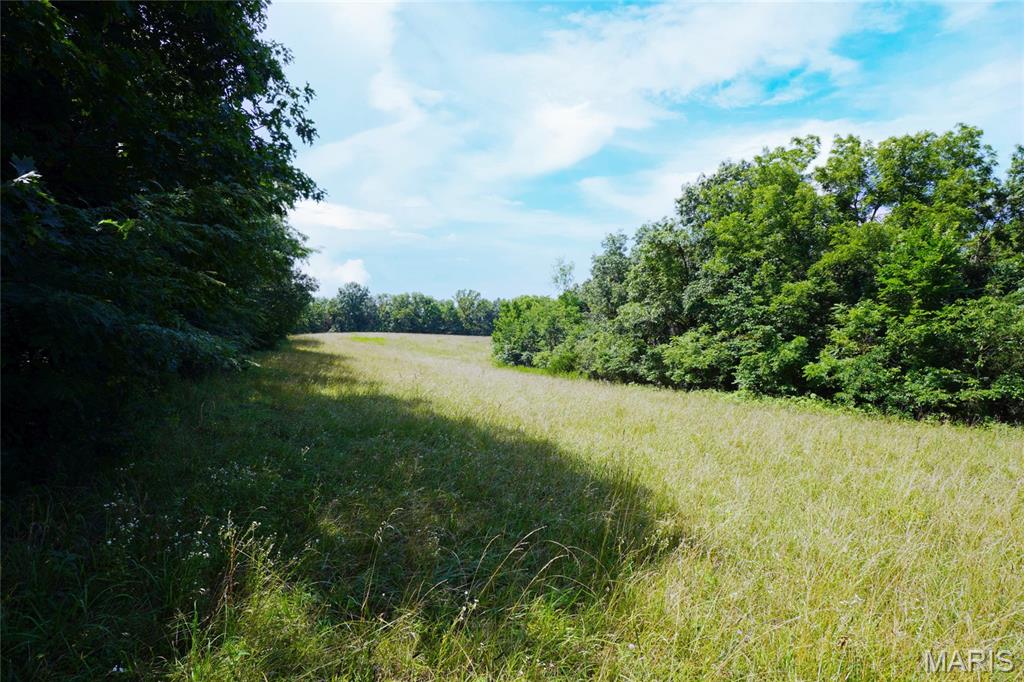 53-acres Chad Lane Rhineland, MO 65069 - Photo 2 of 14