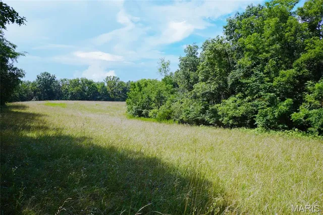 $397,500 | 53-acres Chad Lane, Rhineland, MO 65069