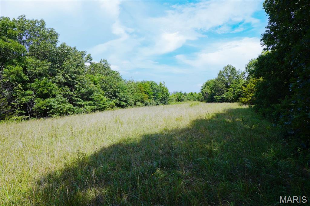 53-acres Chad Lane Rhineland, MO 65069 - Photo 7 of 14