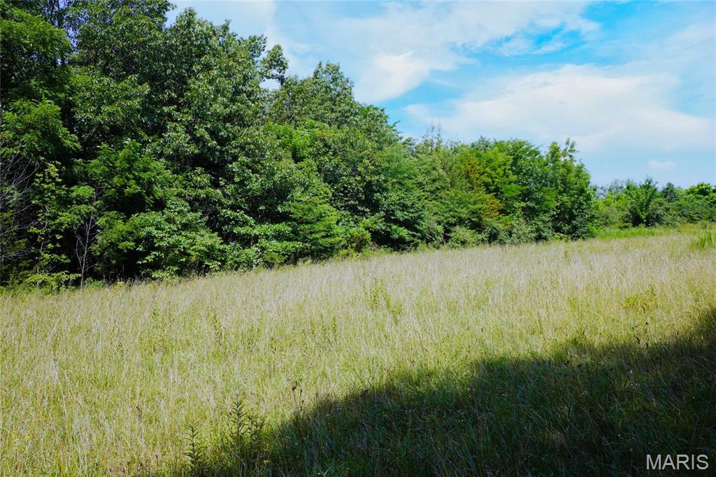 53-acres Chad Lane Rhineland, MO 65069 - Photo 8 of 14