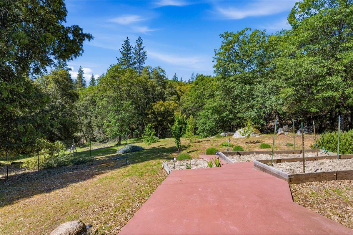 16276 Indian Flat Road Nevada City, CA 95959 - Photo 48 of 71