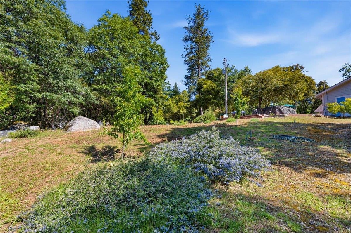 16276 Indian Flat Road Nevada City, CA 95959 - Photo 49 of 71