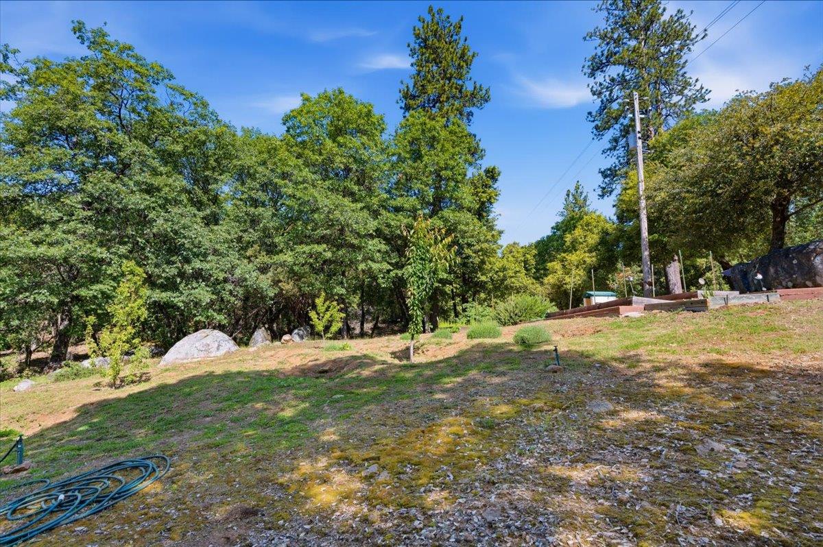 16276 Indian Flat Road Nevada City, CA 95959 - Photo 50 of 71