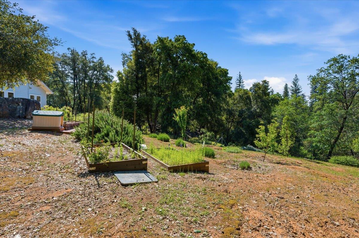16276 Indian Flat Road Nevada City, CA 95959 - Photo 51 of 71