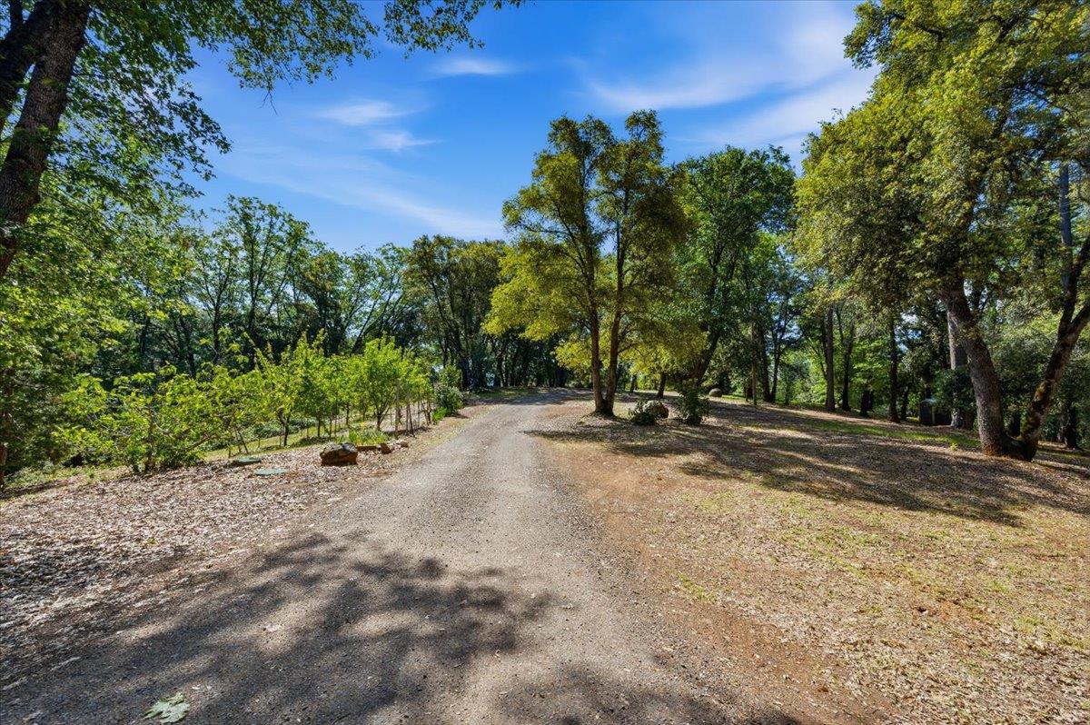 16276 Indian Flat Road Nevada City, CA 95959 - Photo 53 of 71