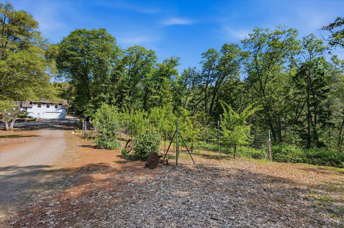16276 Indian Flat Road Nevada City, CA 95959 - Photo 54 of 71