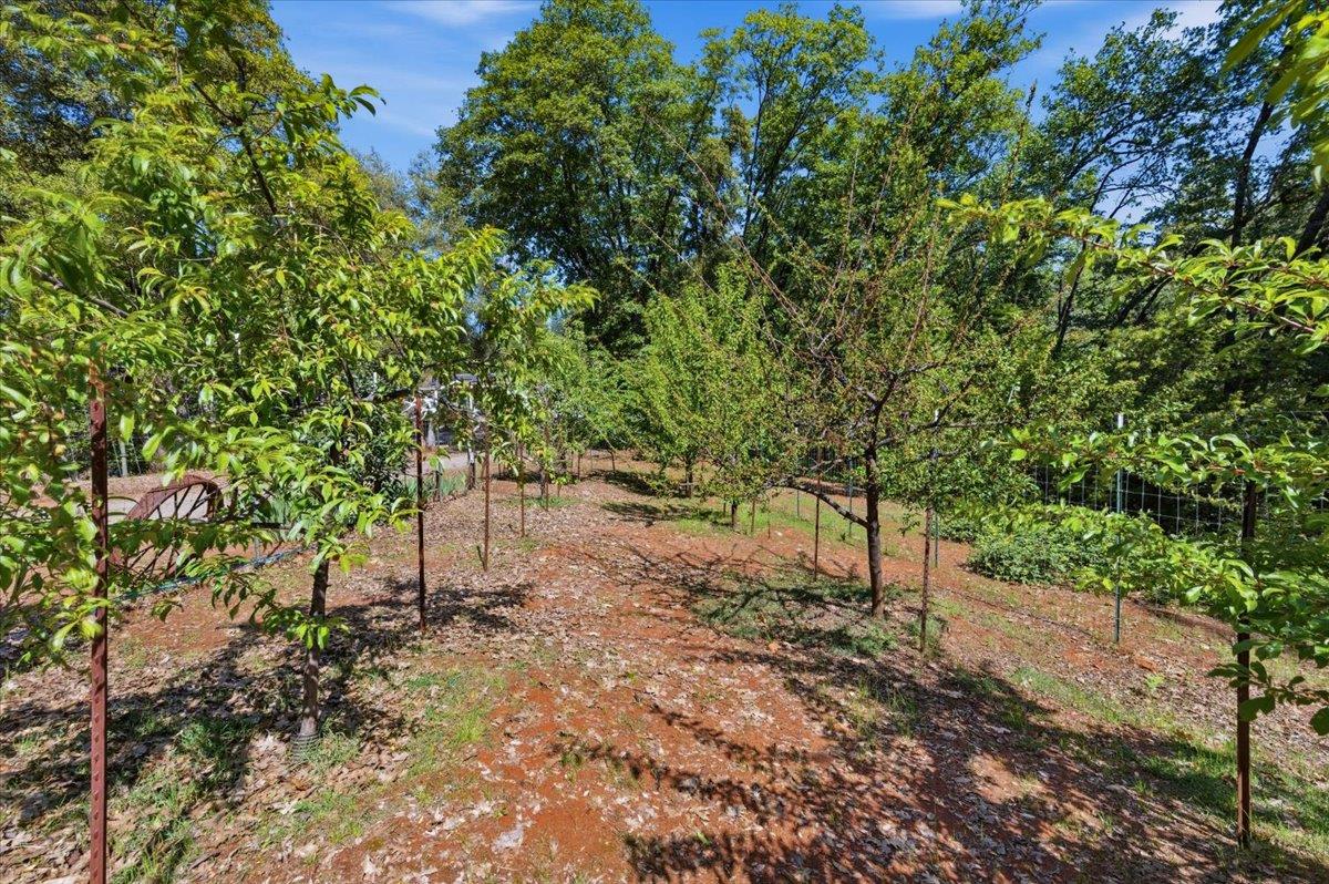 16276 Indian Flat Road Nevada City, CA 95959 - Photo 55 of 71
