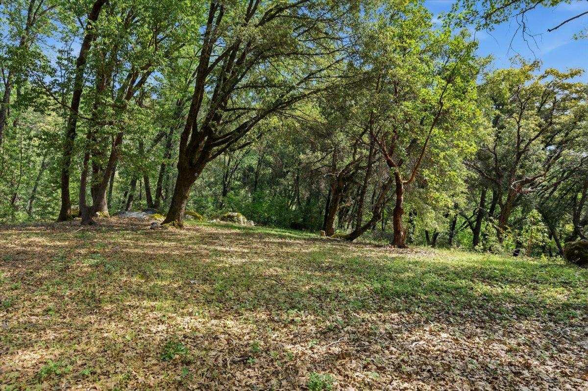 16276 Indian Flat Road Nevada City, CA 95959 - Photo 58 of 71