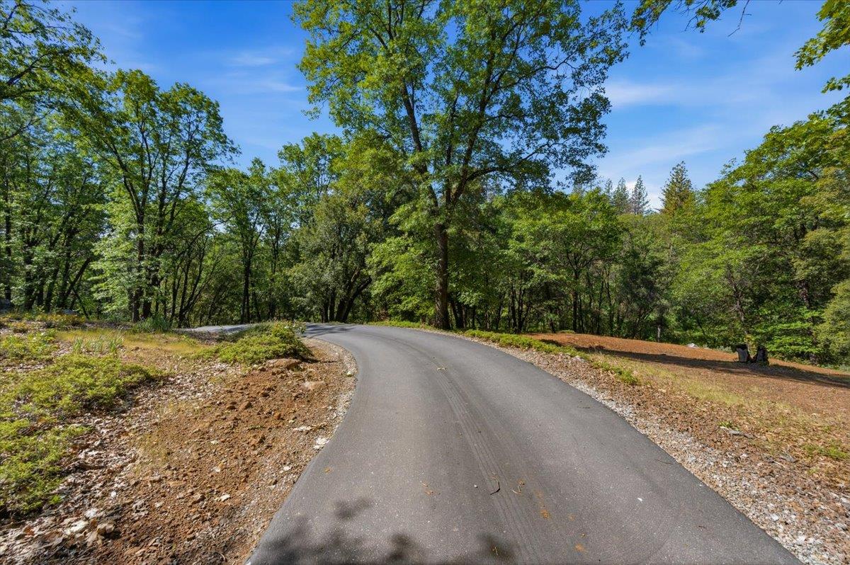 16276 Indian Flat Road Nevada City, CA 95959 - Photo 60 of 71
