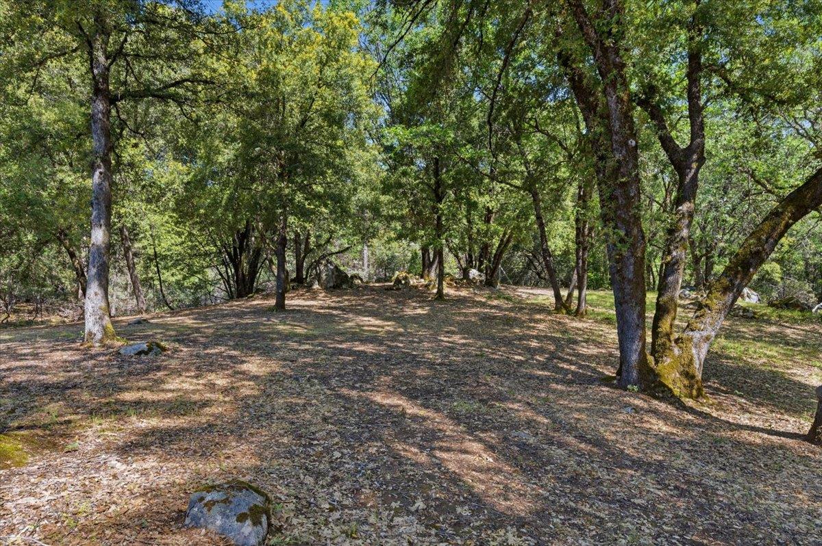 16276 Indian Flat Road Nevada City, CA 95959 - Photo 63 of 71