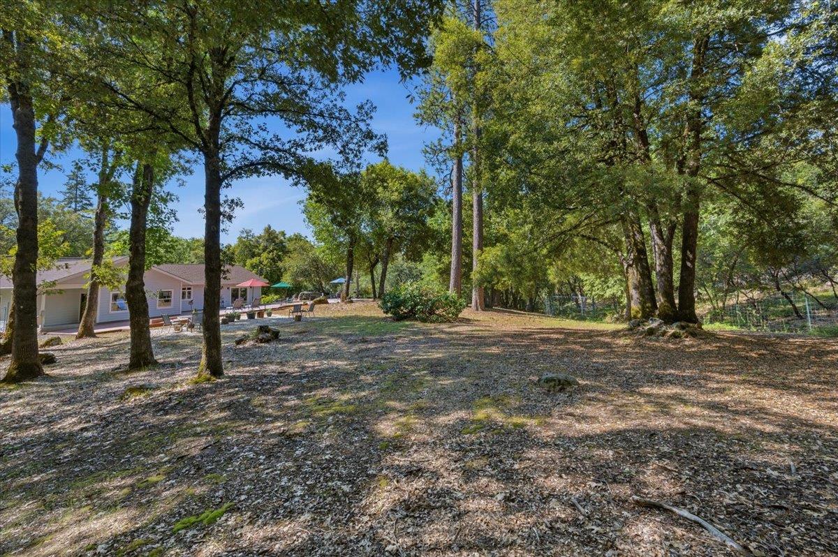 16276 Indian Flat Road Nevada City, CA 95959 - Photo 64 of 71