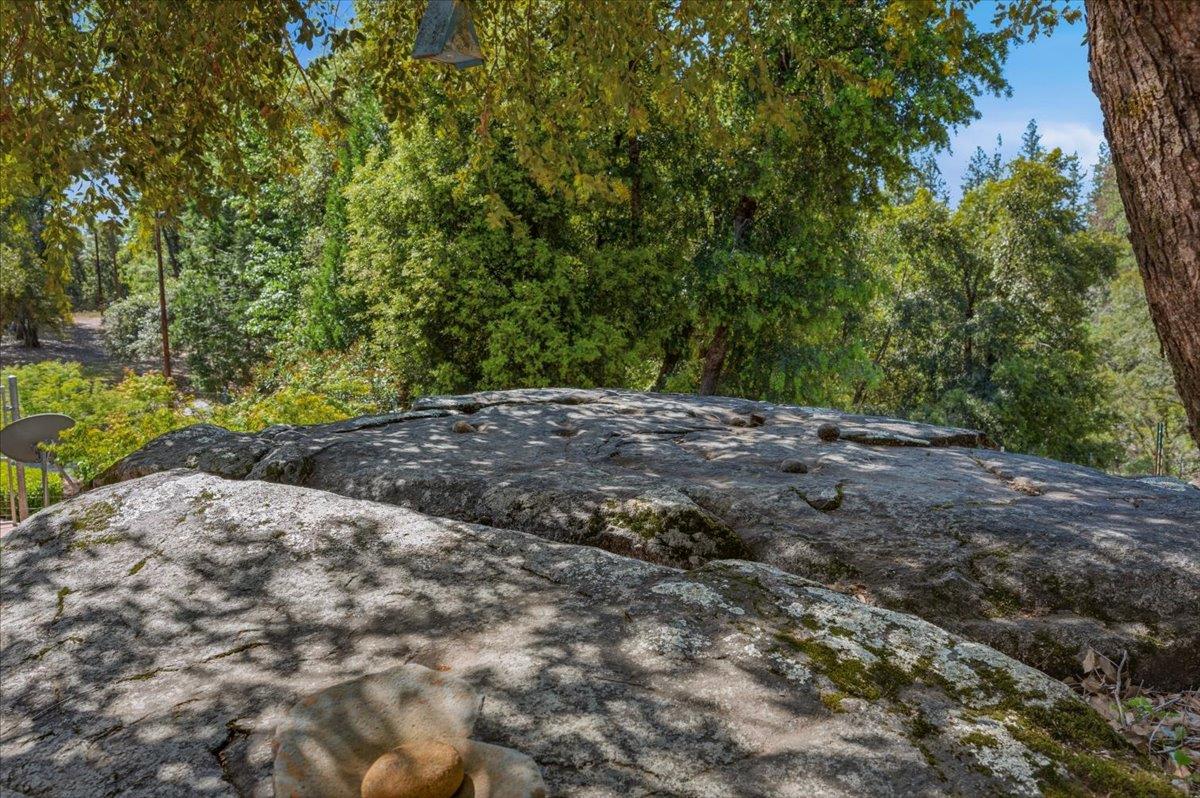 16276 Indian Flat Road Nevada City, CA 95959 - Photo 65 of 71