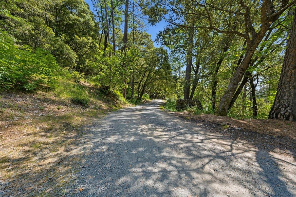 16276 Indian Flat Road Nevada City, CA 95959 - Photo 66 of 71