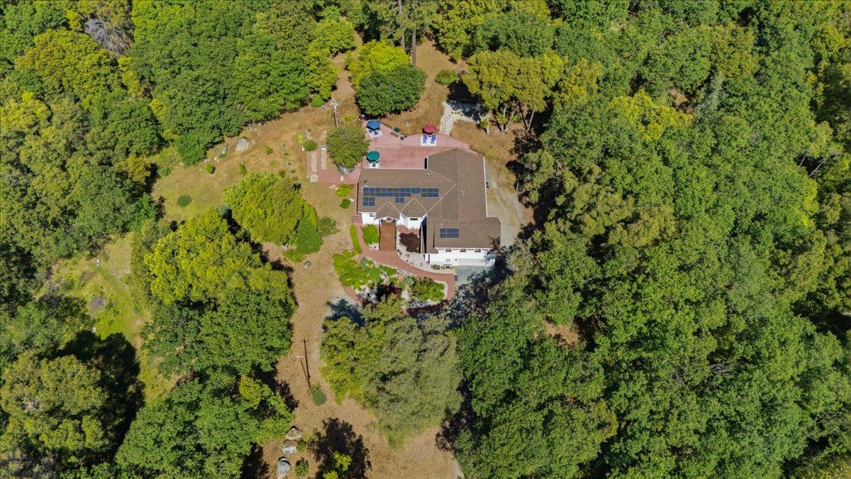 16276 Indian Flat Road Nevada City, CA 95959 - Photo 67 of 71