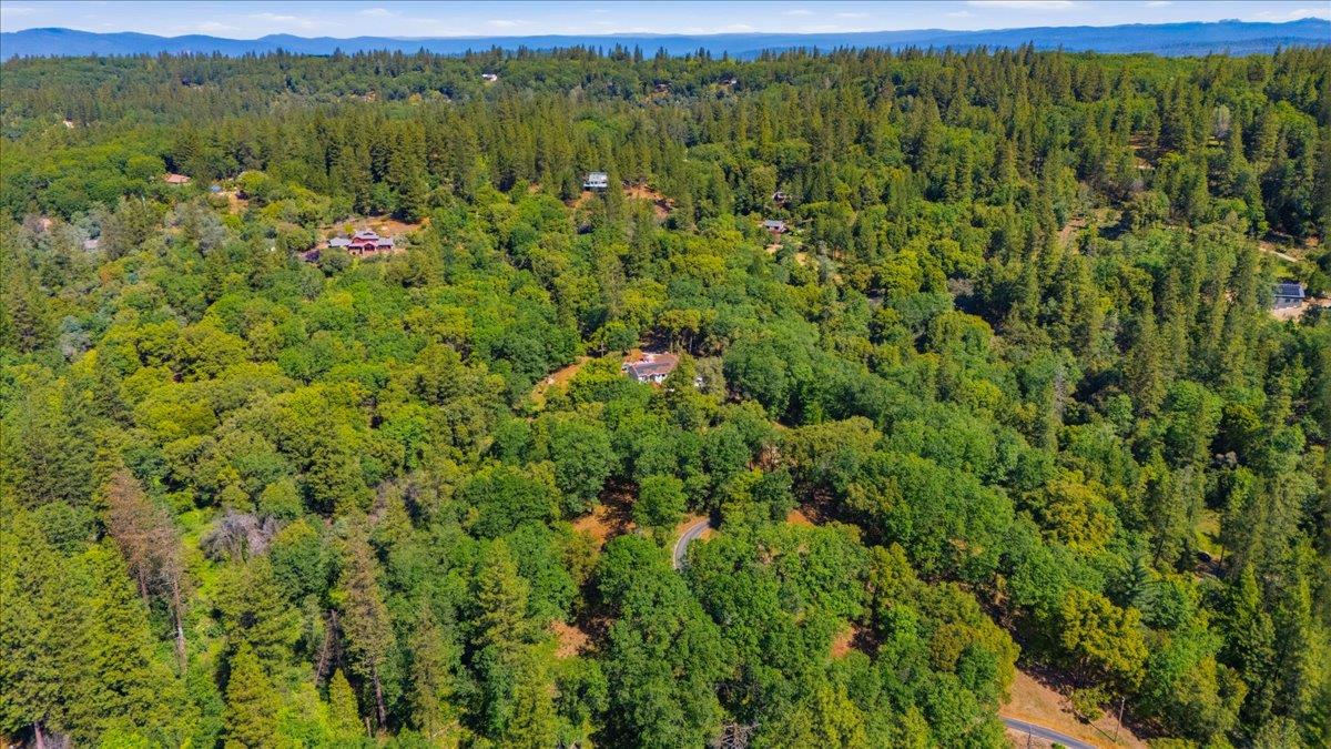 16276 Indian Flat Road Nevada City, CA 95959 - Photo 68 of 71