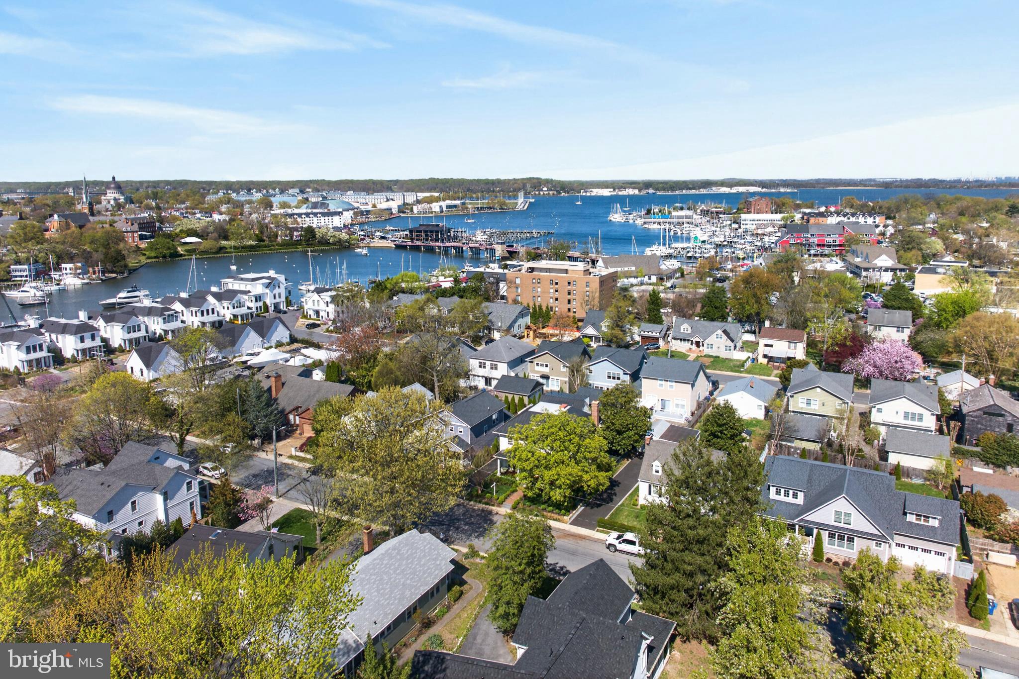 313 Washington Street Annapolis, MD 21403 - Photo 101 of 114 an aerial view of a city