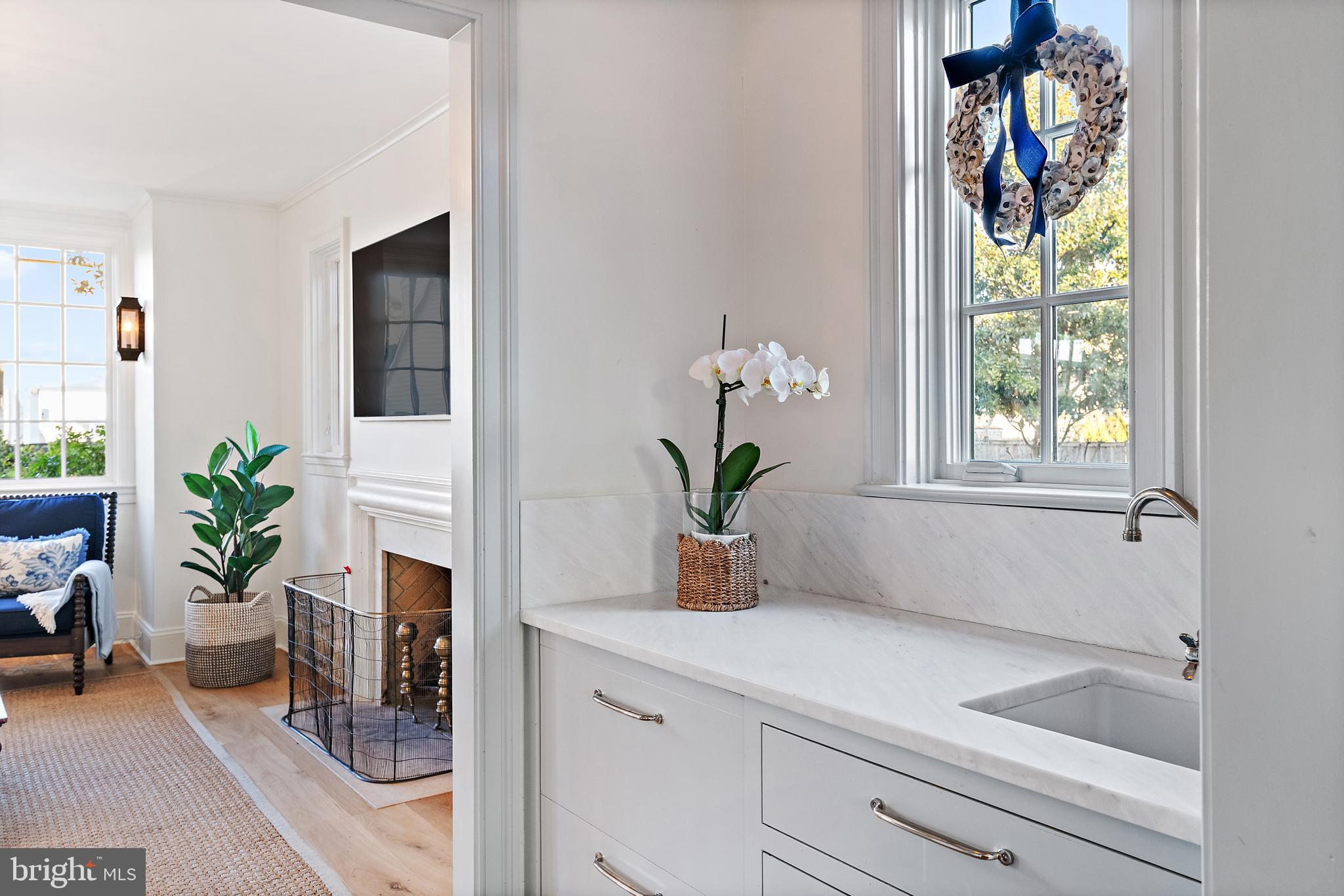 313 Washington Street Annapolis, MD 21403 - Photo 21 of 114 a bathroom with a potted plant on the counter and a window