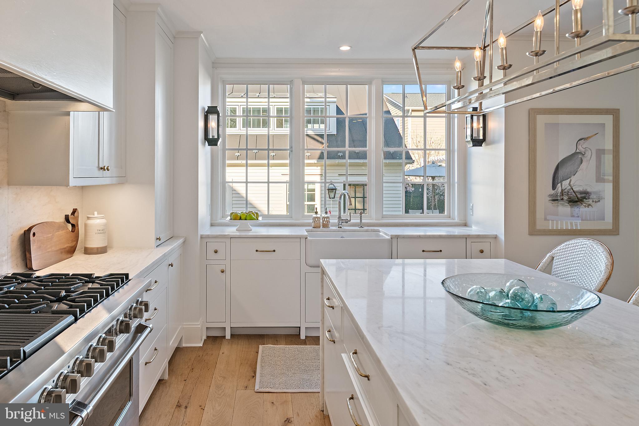 313 Washington Street Annapolis, MD 21403 - Photo 38 of 114 Light-filled kitchen